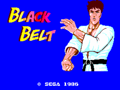 Black Belt Sega Master System SMS for martial arts action video game fans featuring side scrolling fighting gameplay karate combat enemy encounters challenging stages powerful attacks boss battles Japanese inspired environments and classic Sega Master System gameplay collectible retro gaming appeal gameplay