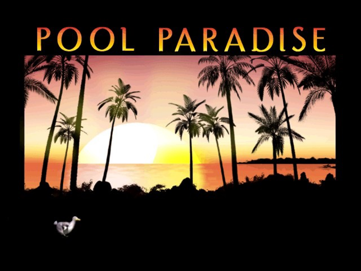 Pool Paradise Nintendo GameCube for retro video game enthusiasts featuring realistic billiards gameplay multiple pool game modes immersive tournament competition skill based cue control detailed table environments and collectible gaming appeal gameplay 