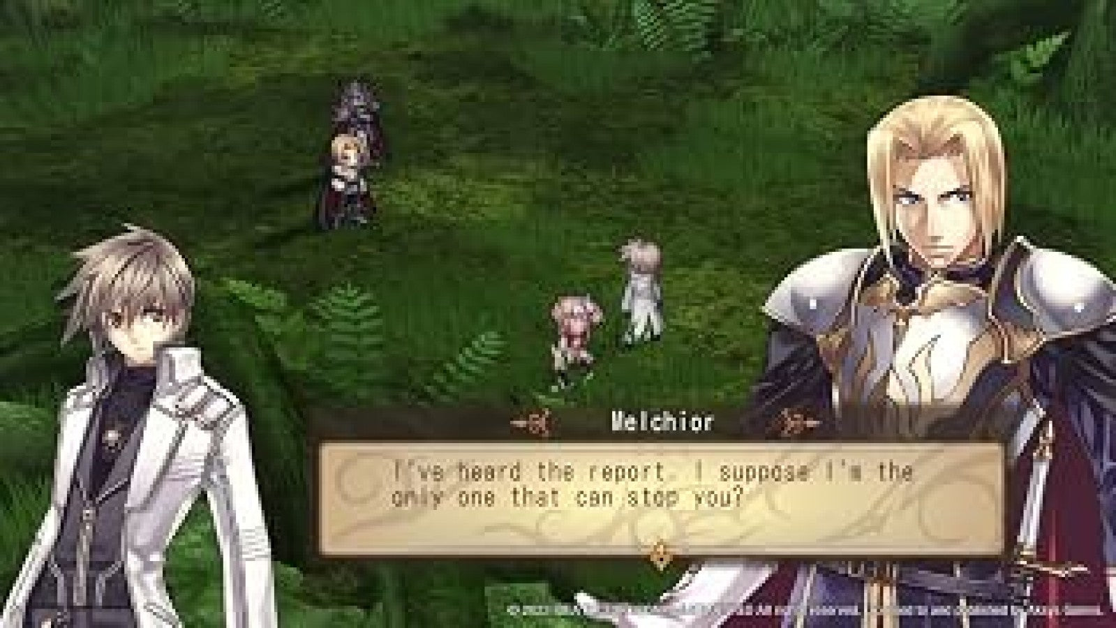 Record of Agarest War 15th Anniversary Limited Edition Nintendo Switch NS for tactical role playing video game fans featuring turn based strategy combat character customization generational storytelling party building fantasy exploration anime inspired characters relationship mechanics challenging battles and 15th Anniversary Limited Edition collectible content gaming appeal gameplay