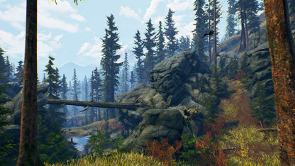 Open Country – PlayStation 4 (PS4) video game gameplay, outdoor survival and hunting adventure in wilderness backdrop