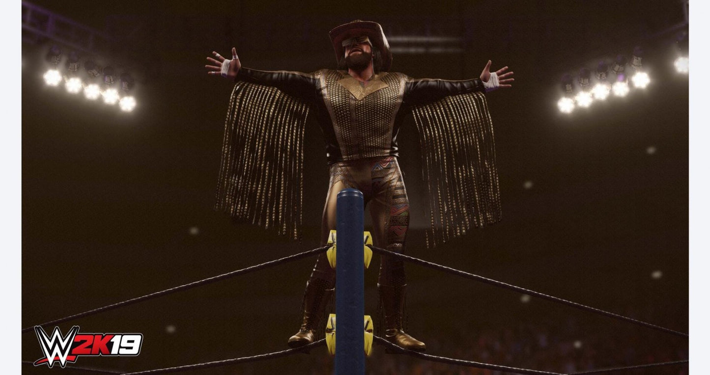 WWE 2K19 – PlayStation 4 (PS4) video game gameplay, professional wrestling sports game.