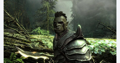 The Elder Scrolls V Skyrim gameplay image for Nintendo Switch NS video game