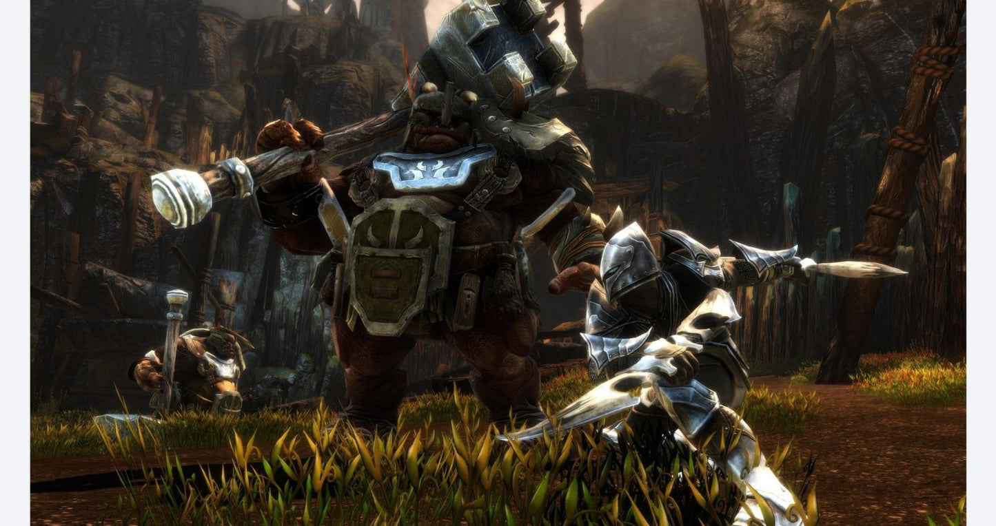 Kingdoms of Amalur Re-Reckoning for PlayStation 4, gameplay for an action role-playing video game with fantasy combat, open-world exploration, character customization, and epic adventure gameplay