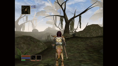 The Elder Scrolls III Morrowind Platinum Hits Xbox open-world fantasy role-playing game RPG gameplay screenshot