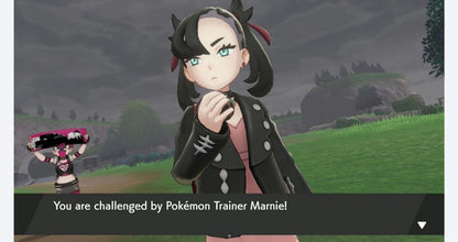 Pokemon Shield gameplay image for Nintendo Switch NS video game