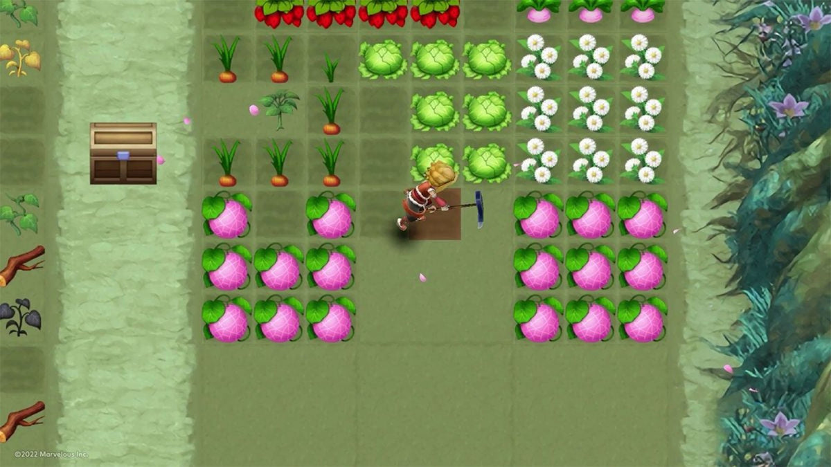 Rune Factory 3 Special Nintendo Switch NS video game featuring role playing farming simulation gameplay crop cultivation monster battles dungeon exploration crafting character relationships town building fantasy adventure and character progression Nintendo Switch gaming video game collection gameplay