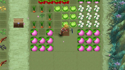 Rune Factory 3 Special Nintendo Switch NS video game featuring role playing farming simulation gameplay crop cultivation monster battles dungeon exploration crafting character relationships town building fantasy adventure and character progression Nintendo Switch gaming video game collection gameplay