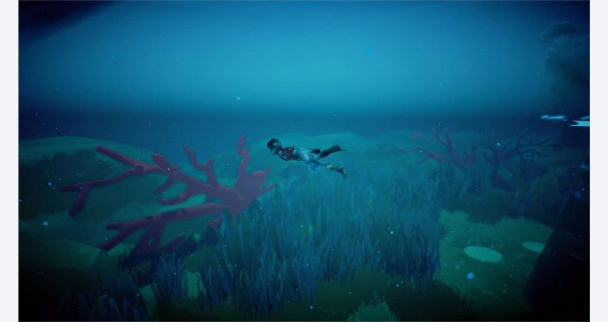 Rime – Nintendo Switch (NS) gameplay image for video game for NS