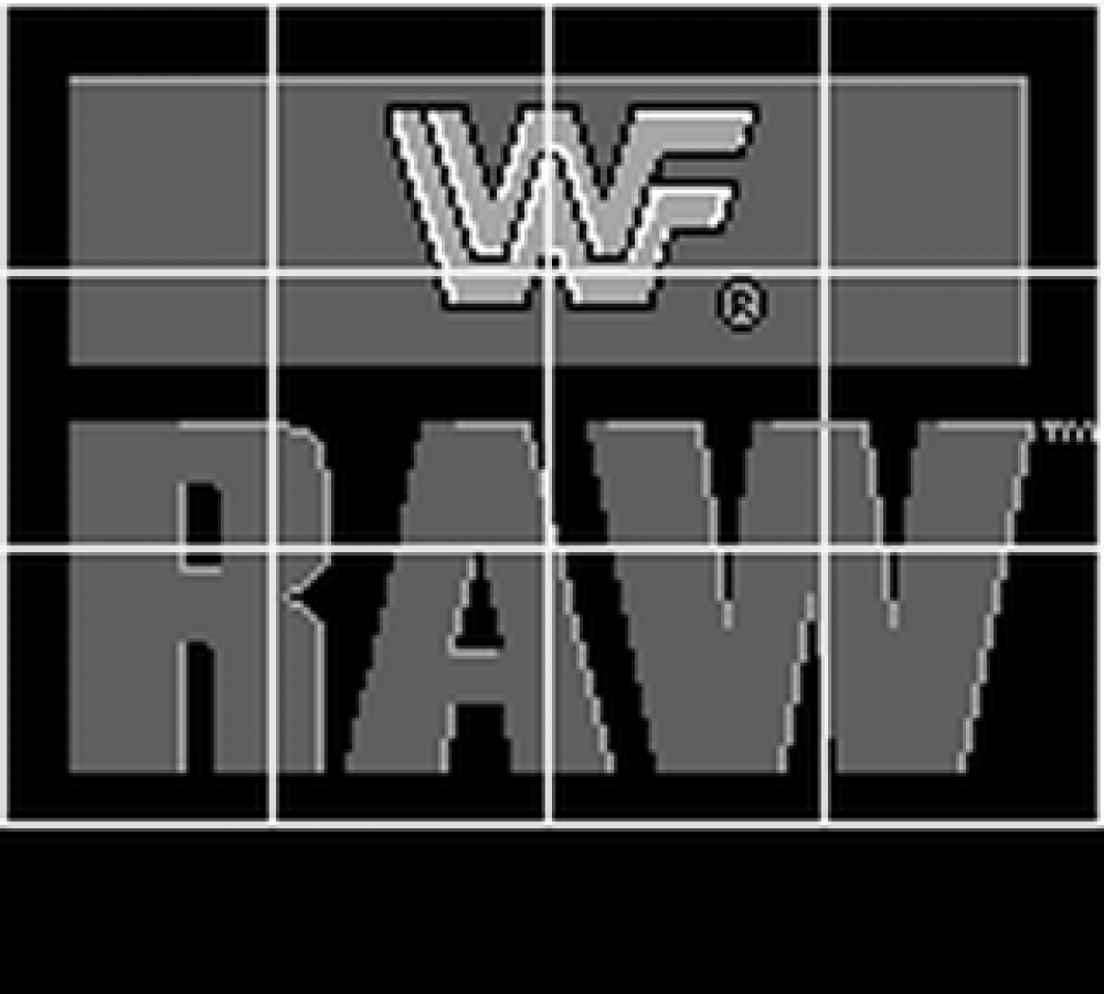 WWF RAW Game Boy video game, professional wrestling action, handheld sports fighting gameplay, classic WWF title screen