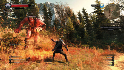 The Witcher 3 Wild Hunt Game of the Year Edition PAL PlayStation 4 PS4 for action role playing video game fans featuring expansive open world exploration epic fantasy storytelling monster hunting deep character progression complete edition with downloadable content immersive combat collectible gaming appeal gameplay