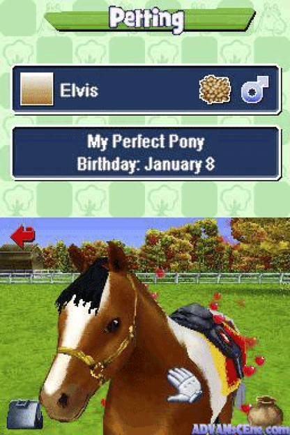 Pony Friends gameplay for Nintendo DS (DS) horse care simulation video game