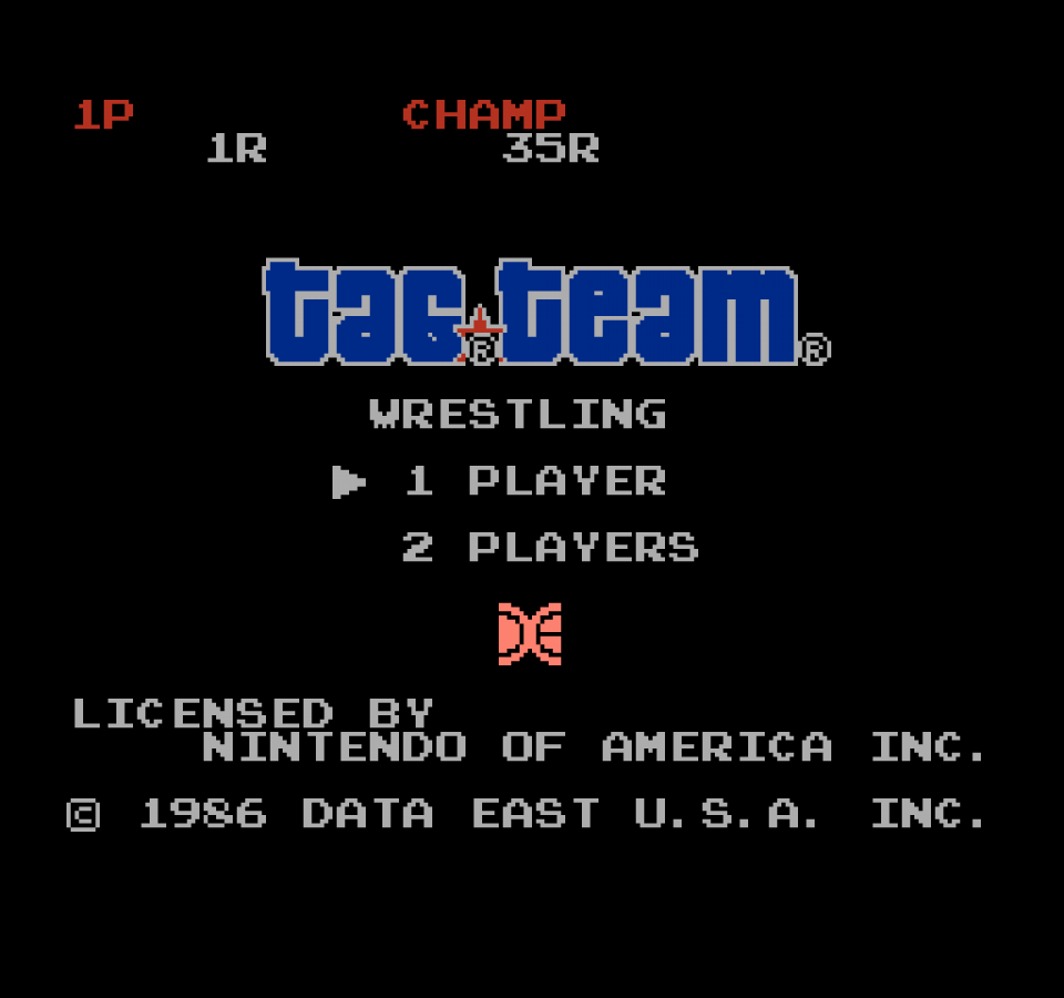 Tag Team Wrestling Nintendo Entertainment System NES for sports wrestling video game fans featuring classic tag team matches multiple wrestler teams arcade style grappling fast paced ring action competitive gameplay retro Nintendo entertainment collectible gaming appeal gameplay 