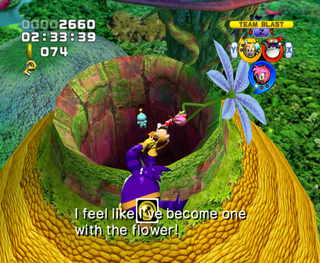 Sonic Heroes GameCube game featuring fast-paced team-based platforming, colorful 3D levels, and classic Sonic the Hedgehog action adventure gameplay