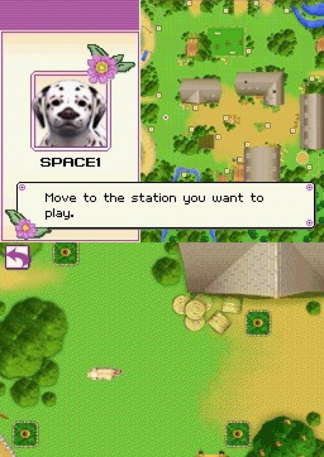 I Love Puppies gameplay for Nintendo DS (DS) video game