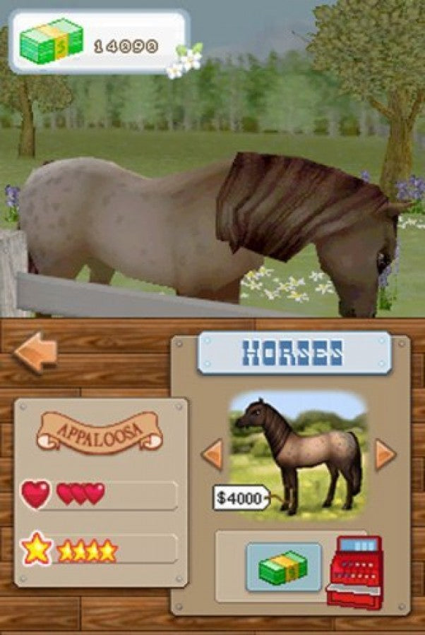 Championship Pony game for the Nintendo DS featuring horse care and riding gameplay with training events customization mini games and simulation elements focused on raising and competing with ponies gameplay