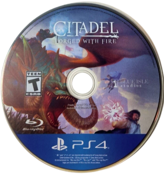 Citadel: Forged with Fire – PlayStation 4 (PS4) video game disc, open-world RPG by Blue Isle Studios