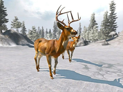 Cabela's Trophy Bucks gameplay cover art for Nintendo Wii (Wii) video game