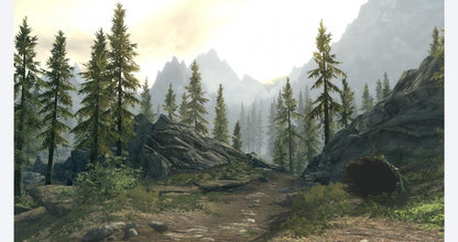 The Elder Scrolls V Skyrim gameplay image for Nintendo Switch NS video game