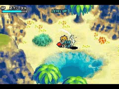 Shining Soul cartridge for the Game Boy Advance featuring action RPG gameplay with real time combat dungeon exploration character classes and multiplayer co op in a fantasy setting gameplay