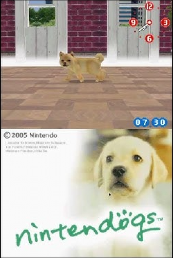 Nintendogs Lab and Friends Nintendo DS video game, pet simulation, virtual dog care and training, family-friendly handheld console title gameplay screenshot