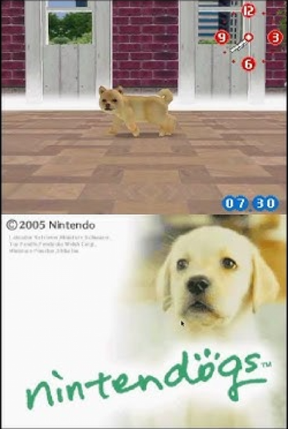 Nintendogs Lab and Friends Nintendo DS video game, pet simulation, virtual dog care and training, family-friendly handheld console title gameplay screenshot