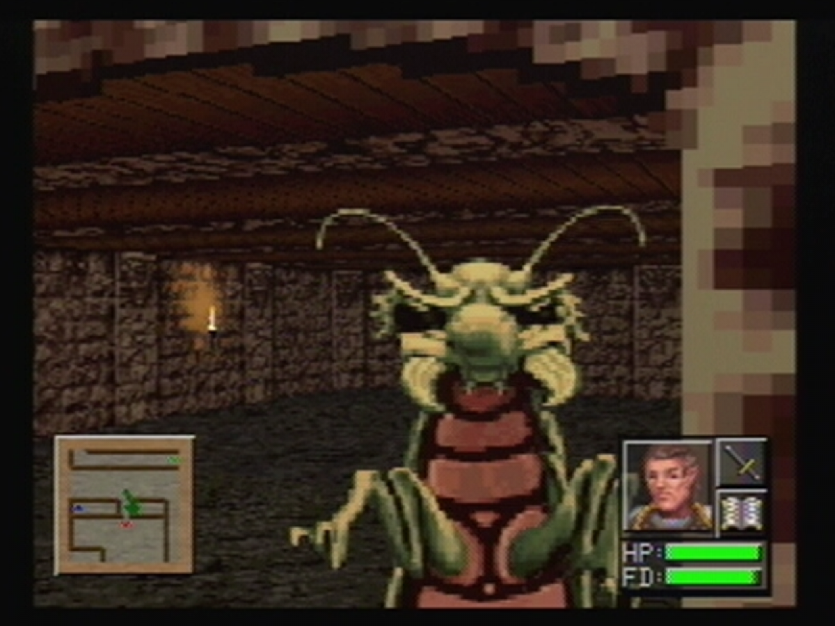 Advanced Dungeons & Dragons: Slayer gameplay for Panasonic 3DO (3DO) action role-playing video game