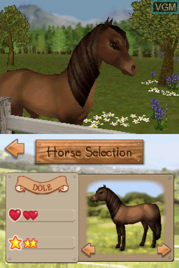 Championship Pony game for the Nintendo DS featuring horse care and riding gameplay with training events customization mini games and simulation elements focused on raising and competing with ponies gameplay
