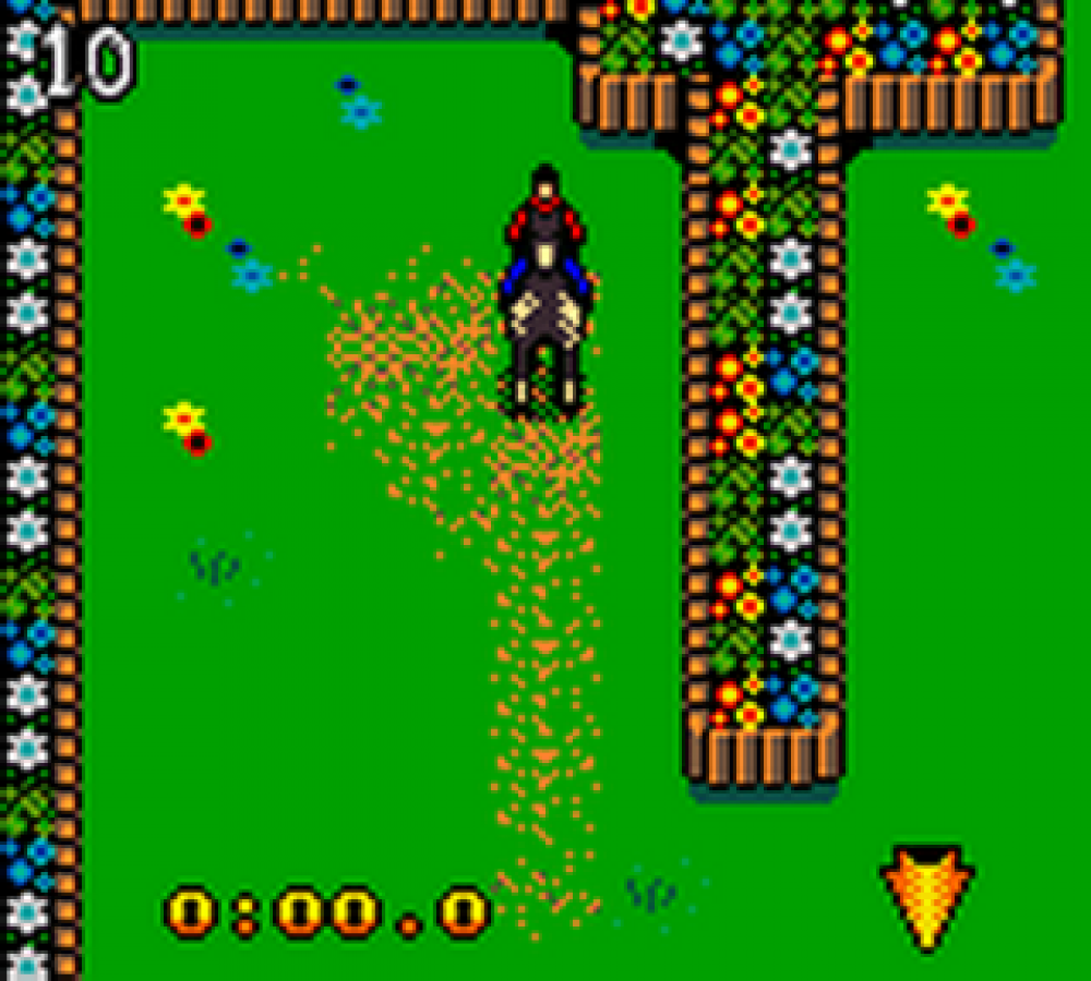 Mary-Kate and Ashley Winners Circle for Game Boy Color, gameplay for a sports simulation video game with horse riding gameplay, competition events, training challenges, and casual adventure activities