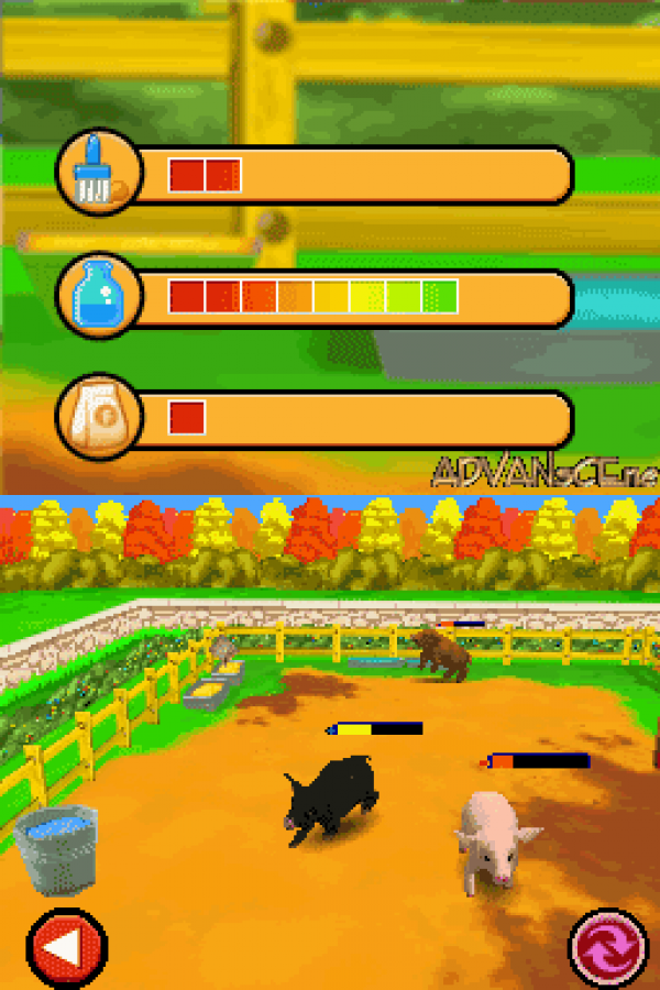 Imagine: Animal Doctor gameplay for Nintendo DS (DS) pet care simulation video game