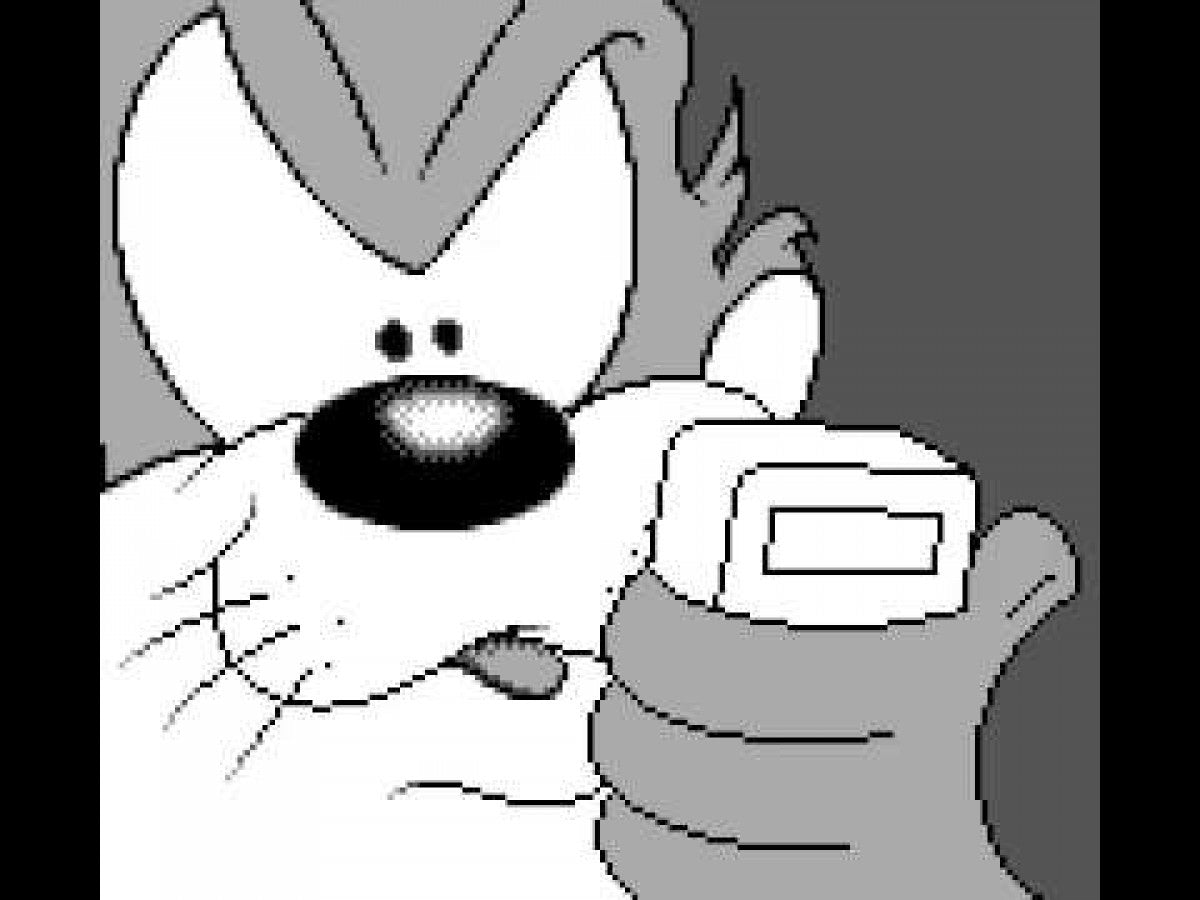 Taz-Mania Nintendo Game Boy GB for retro video game enthusiasts featuring side scrolling action platforming gameplay Looney Tunes inspired adventure Taz spin attacks colorful levels classic handheld gaming cartoon themed challenges and collectible gaming appeal gameplay 