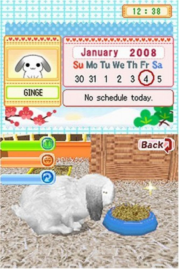 Petz Bunnyz for Nintendo DS (DS), gameplay for a retro video game featuring pet care simulation gameplay, rabbit customization, mini-game challenges, nurturing activities, and family-friendly animal adventures