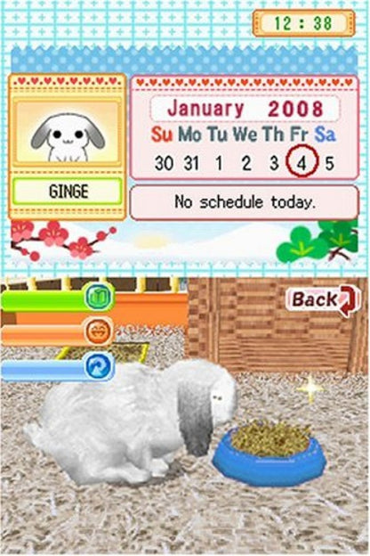 Petz Bunnyz for Nintendo DS (DS), gameplay for a retro video game featuring pet care simulation gameplay, rabbit customization, mini-game challenges, nurturing activities, and family-friendly animal adventures