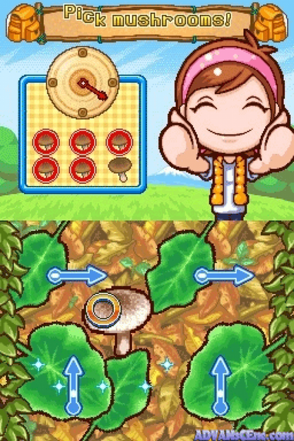 Camping Mama: Outdoor Adventures gameplay for Nintendo DS (DS) family adventure mini-game collection video game