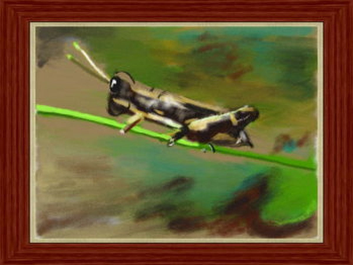 Art Academy cartridge for the Nintendo DS featuring interactive drawing lessons with step by step tutorials sketching techniques and creative art tools for beginners and aspiring artists gameplay