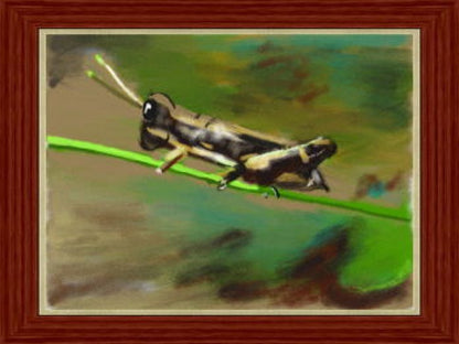 Art Academy cartridge for the Nintendo DS featuring interactive drawing lessons with step by step tutorials sketching techniques and creative art tools for beginners and aspiring artists gameplay