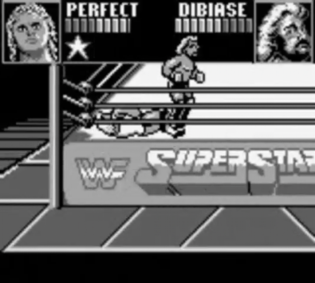 WWF Superstars Game Boy wrestling sports video game gameplay