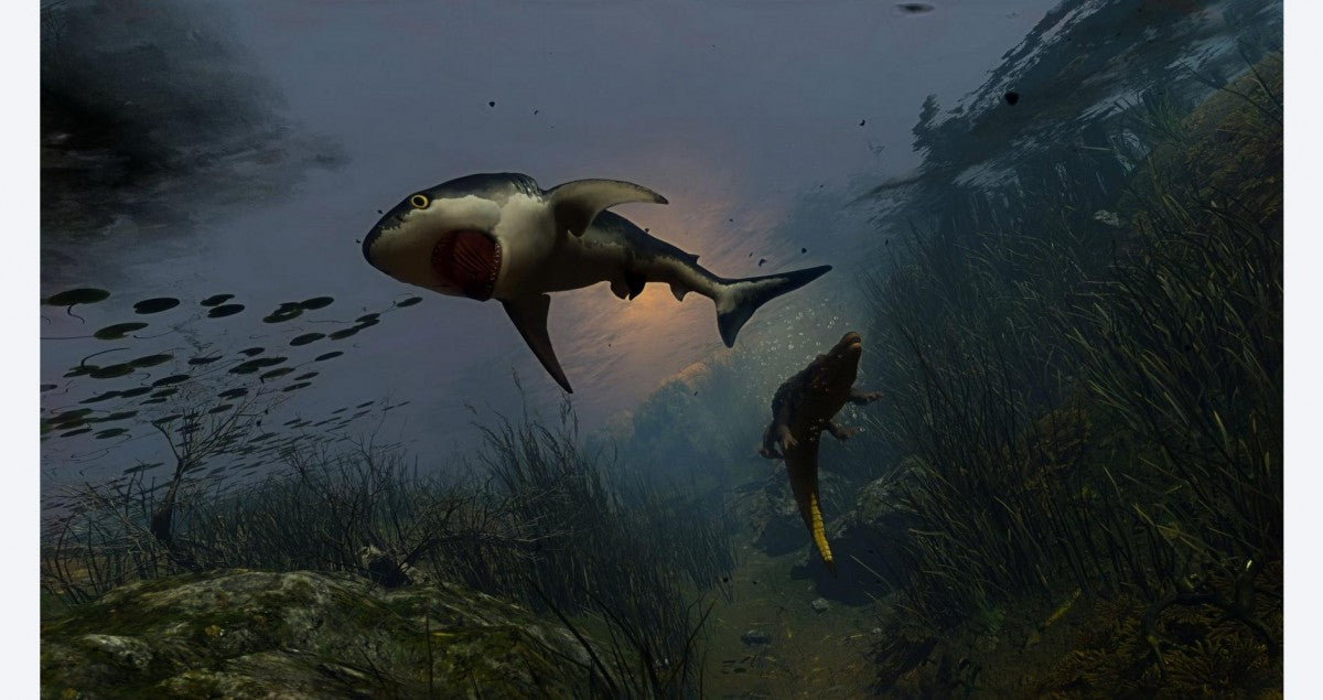 Maneater – PlayStation 4 (PS4) video game gameplay, action role-playing game with shark