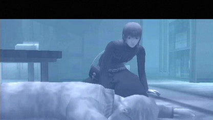 Raw Danger – PlayStation 2 (PS2) video game gameplay, survival action-adventure game.