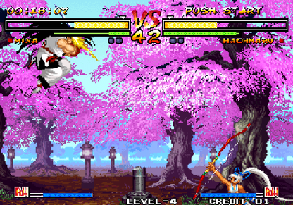 Samurai Shodown V gameplay for Xbox (XBOX) video game
