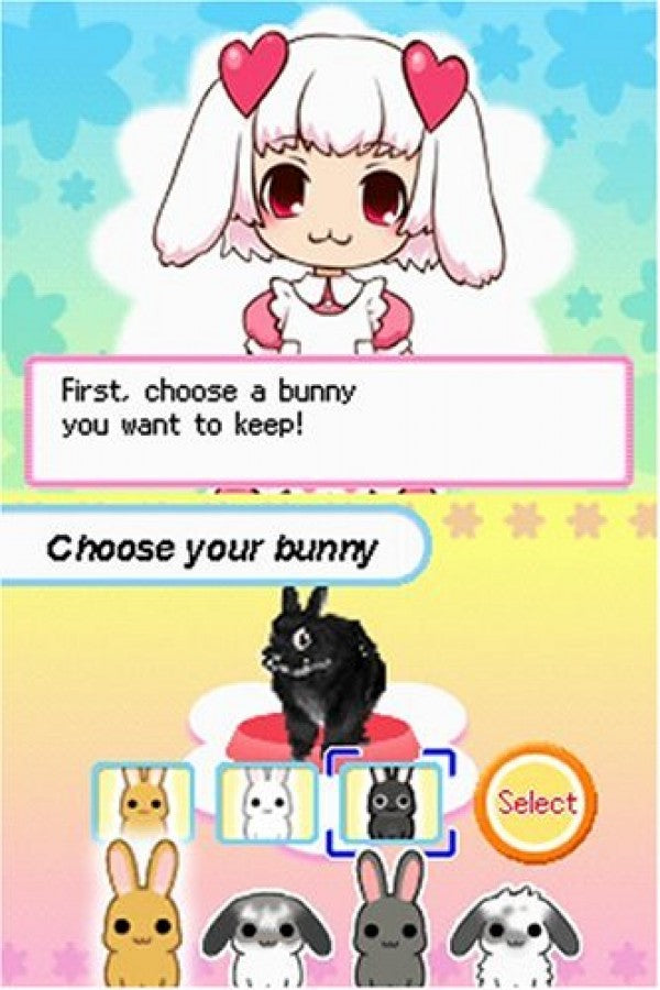 Petz Bunnyz for Nintendo DS (DS), gameplay for a retro video game featuring pet care simulation gameplay, rabbit customization, mini-game challenges, nurturing activities, and family-friendly animal adventures