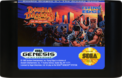 Double Dragon III The Arcade Game Sega Genesis retro video game beat em up cartridge (1993)