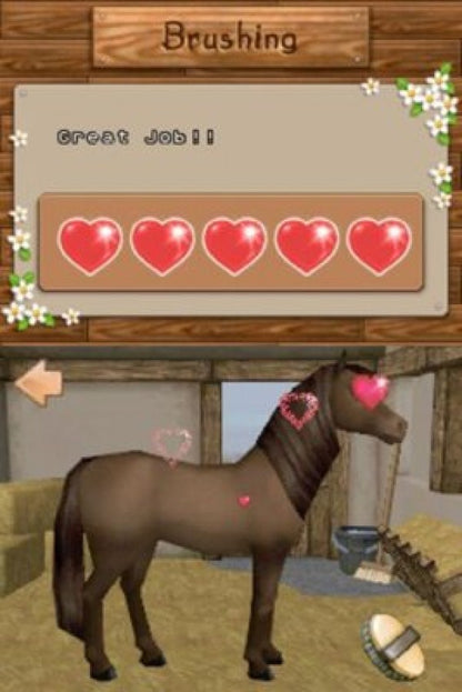 Championship Pony game for the Nintendo DS featuring horse care and riding gameplay with training events customization mini games and simulation elements focused on raising and competing with ponies gameplay