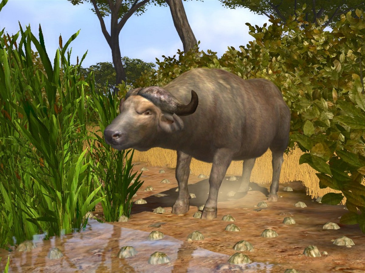 Cabela’s Big Game Hunter 2008 for PlayStation 2 with large-game hunting and outdoor expedition theme gameplay