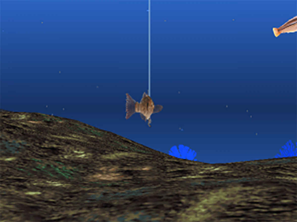 Reel Fishing II PlayStation 1 PS1 for retro video game enthusiasts featuring fishing simulation gameplay realistic angling mechanics diverse fishing locations lure selection techniques relaxing outdoor sports experience and collectible gaming appeal gameplay 
