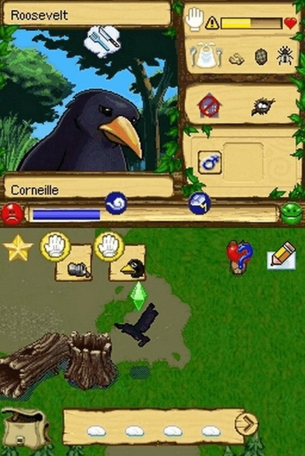 SimAnimals PAL for Nintendo DS with animal interaction and wilderness exploration simulation theme gameplay