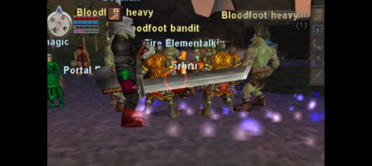 EverQuest Online Adventures: Frontiers for PlayStation 2 (PS2) featuring the console MMO expansion that adds new zones quests monsters and gear to the world of Norrath; team up with other players choose a class and explore a large online fantasy adventure built for PS2 network play gameplay screenshot