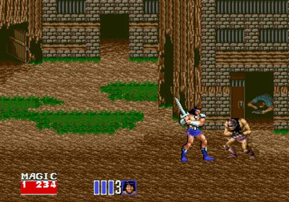 Golden Axe II Sega Genesis arcade hack and slash beat em up sequel with co-op and mount combat fantasy classic gameplay