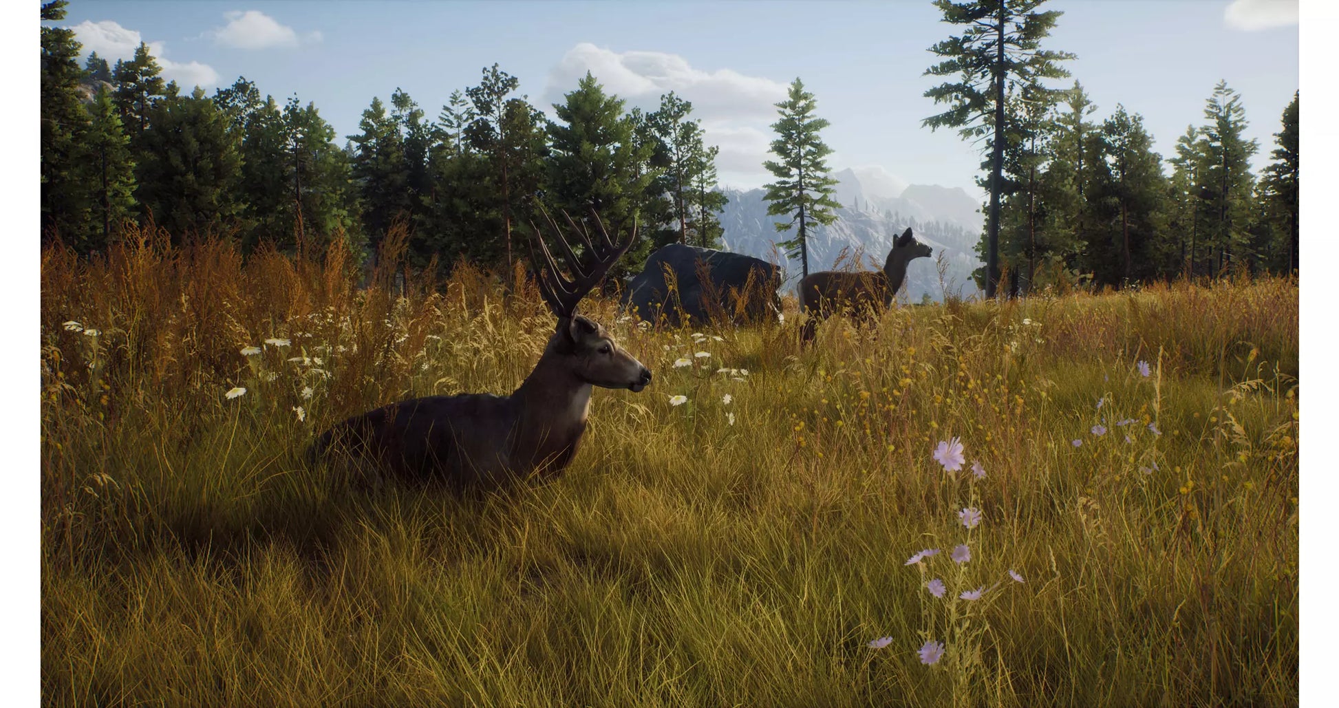 Way of the Hunter gameplay for PlayStation 5 (PS5) hunting simulation video game