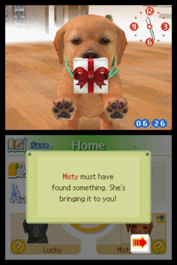 Nintendogs Lab and Friends Nintendo DS video game, pet simulation, virtual dog care and training, family-friendly handheld console title gameplay screenshot