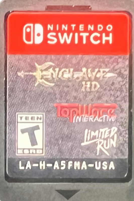 Enclave HD Nintendo Switch NS for action role playing video game fans featuring third person combat fantasy adventure multiple playable characters sword fighting magic abilities dungeon exploration challenging enemies character progression and enhanced HD visuals collectible gaming appeal cartidge